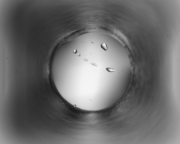 X0000089900059200707192040