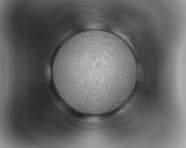 X0000089900061200707192040
