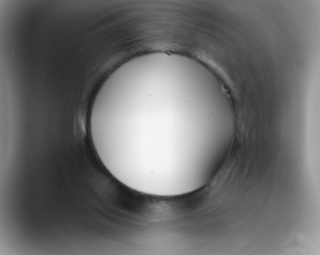 X0000089900062200707192040