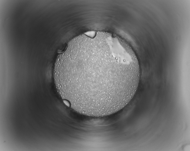 X0000089900065200707192040