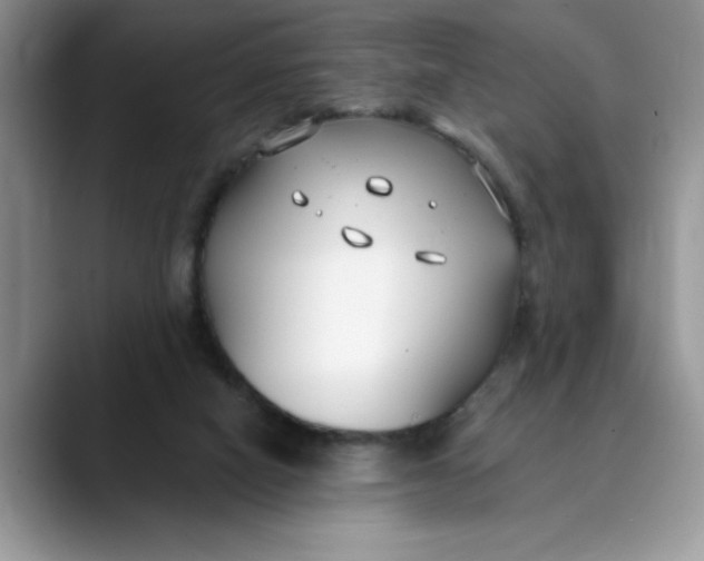 X0000089900066200707192040
