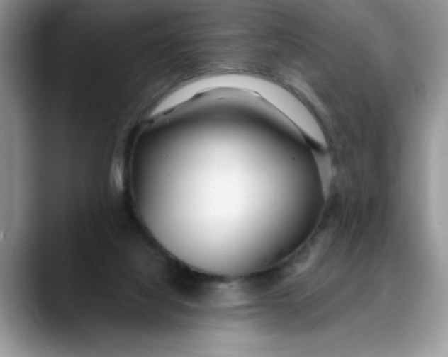 X0000089900068200707192040