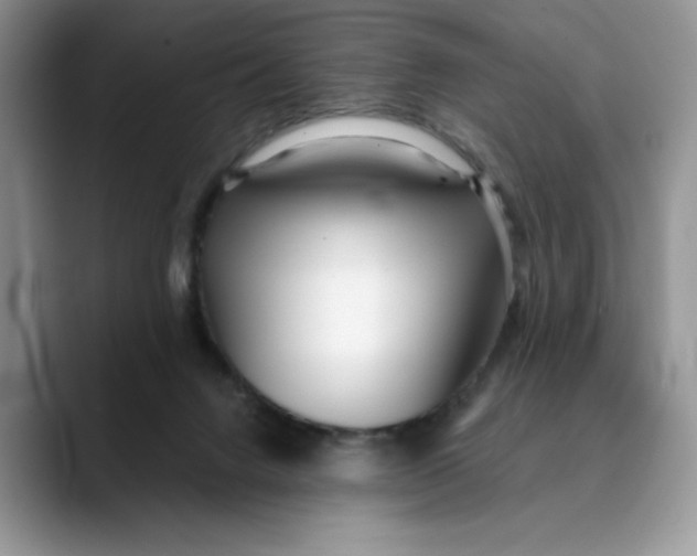 X0000089900072200707192040