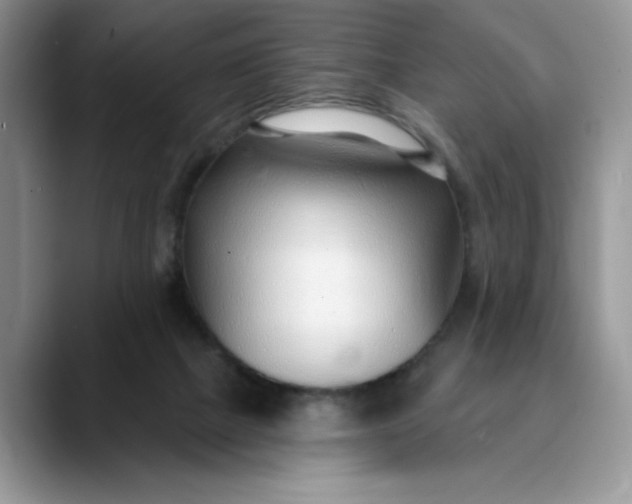 X0000089900073200707192040