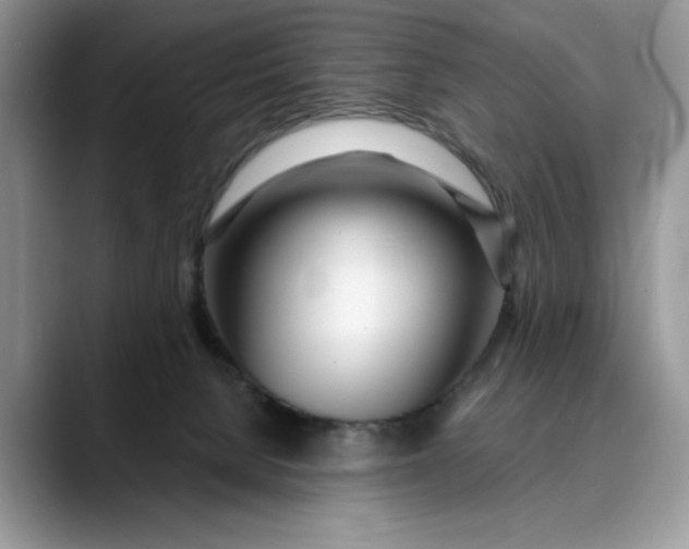 X0000089900080200707192040