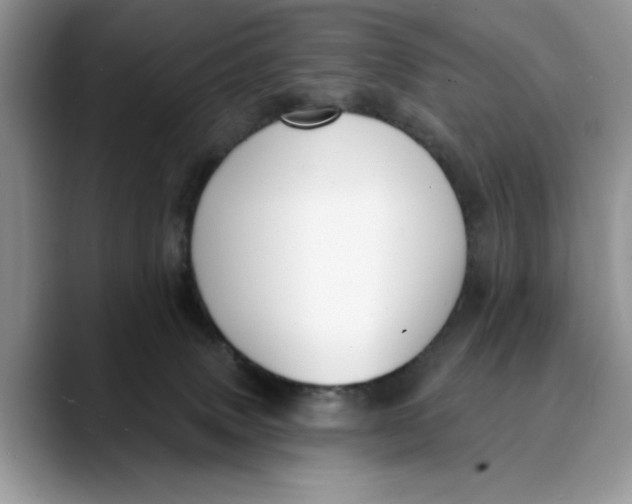 X0000089900083200707192040
