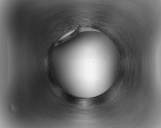 X0000089900088200707192040