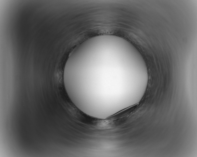X0000089900096200707192040