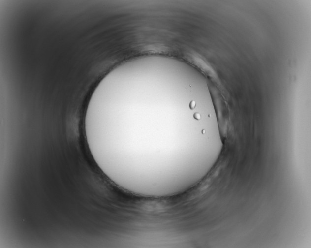 X0000089900106200707192040