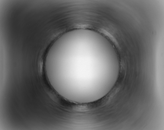 X0000089900110200707192040