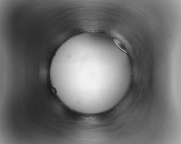 X0000089900113200707192040