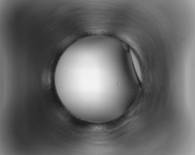 X0000089900115200707192040