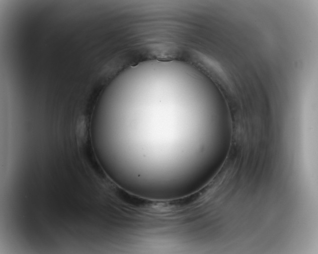 X0000089900121200707192040