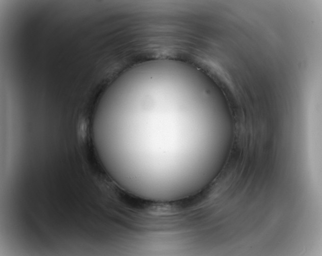 X0000089900123200707192040