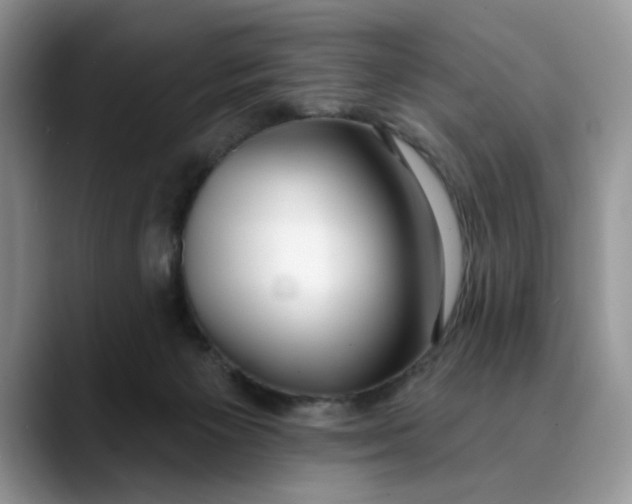 X0000089900125200707192039