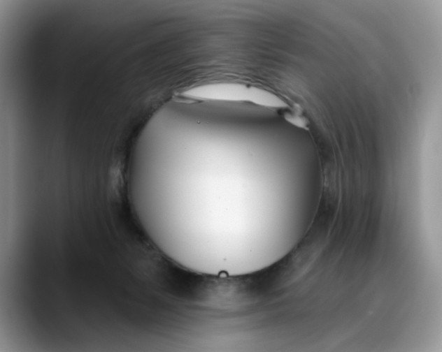 X0000089900127200707192039