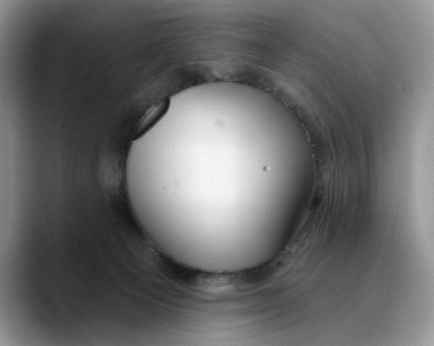 X0000089900129200707192039