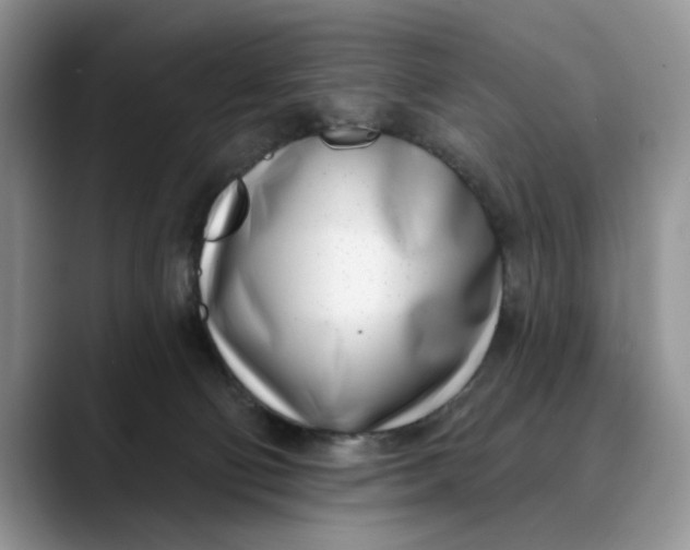 X0000089900130200707192039