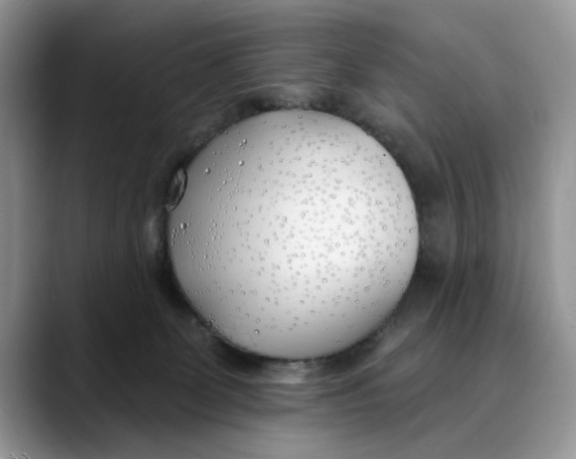 X0000089900131200707192039