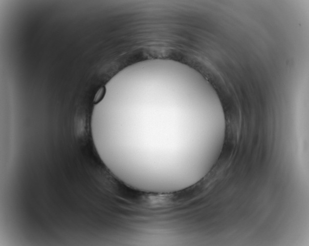 X0000089900134200707192039