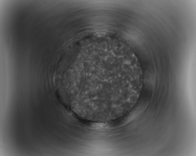 X0000089900139200707192039