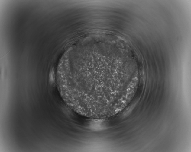 X0000089900143200707192039