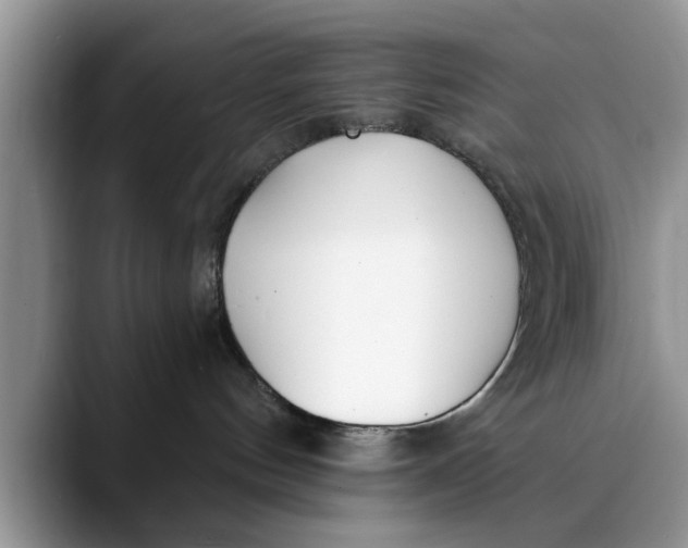X0000089900144200707192039