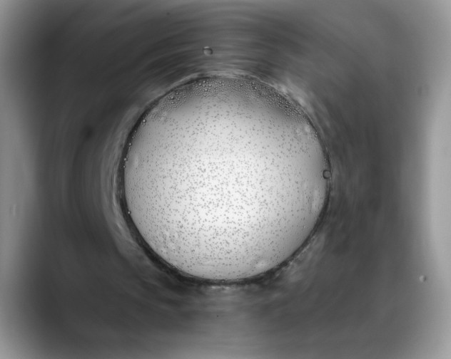 X0000089900145200707192039