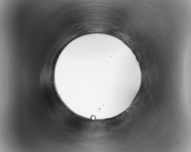 X0000089900146200707192039