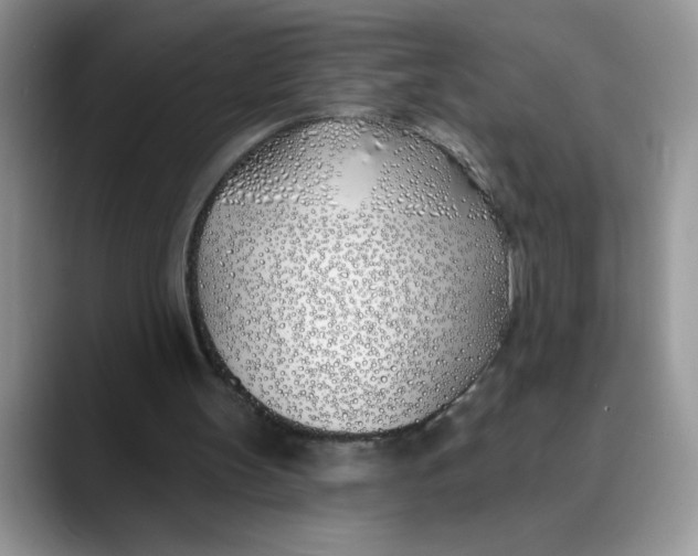 X0000089900147200707192039