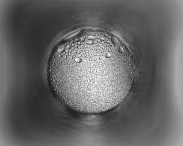 X0000089900151200707192039