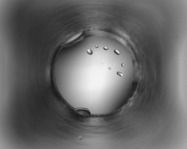 X0000089900154200707192039