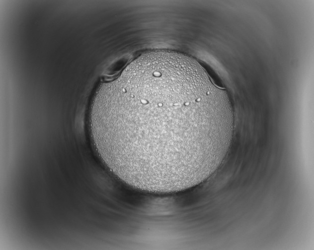 X0000089900155200707192039