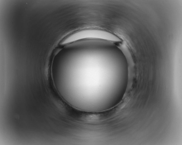 X0000089900156200707192039