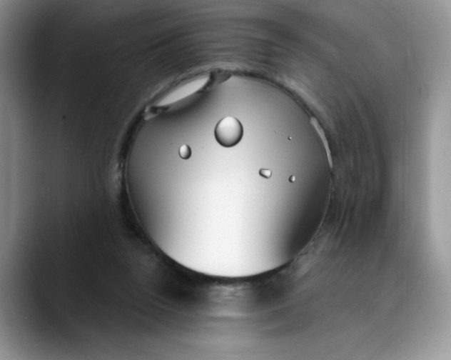 X0000089900160200707192039