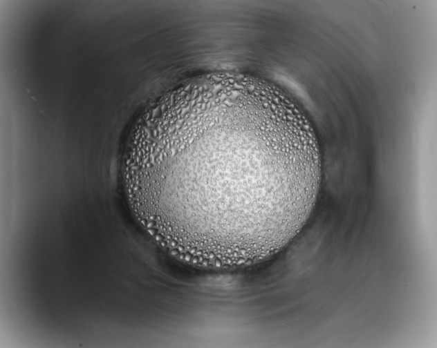 X0000089900161200707192039