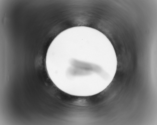 X0000089900162200707192039