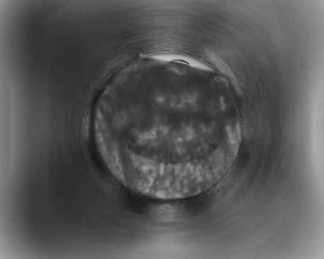 X0000089900163200707192039