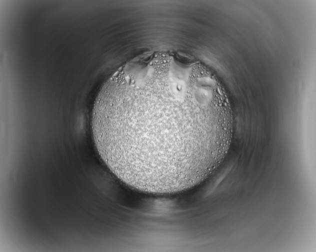 X0000089900165200707192039