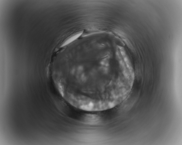 X0000089900167200707192039