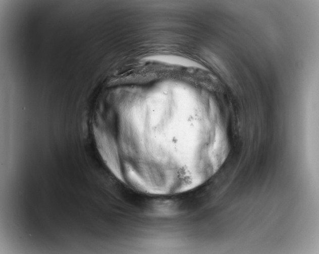 X0000089900169200707192039