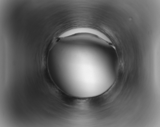 X0000089900170200707192039
