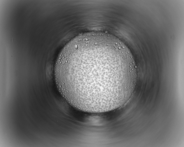 X0000089900171200707192039