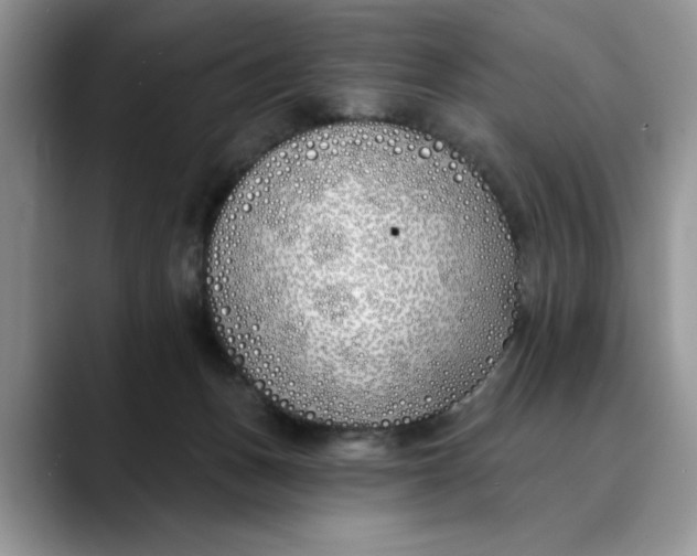 X0000089900175200707192039