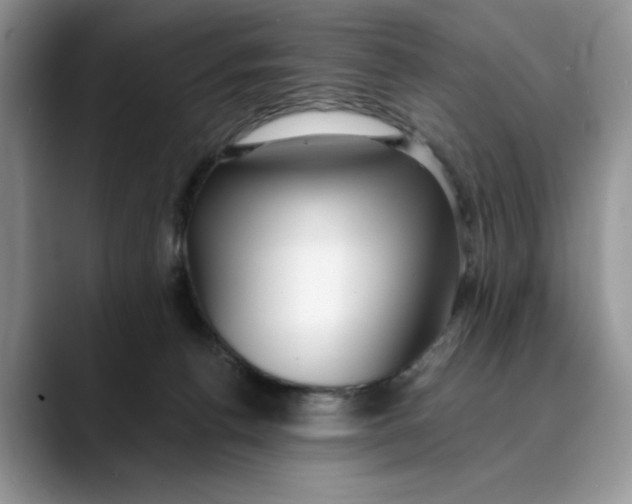 X0000089900176200707192039