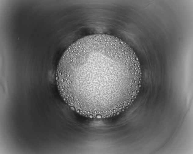 X0000089900177200707192039