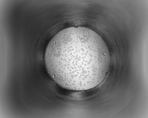 X0000089900178200707192039