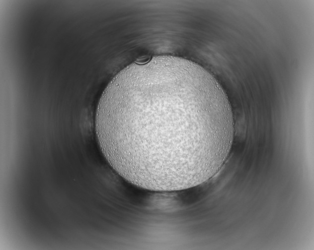 X0000089900179200707192039