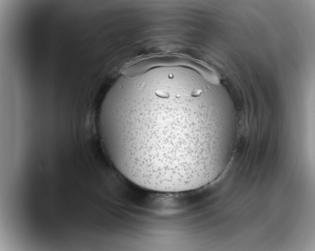 X0000089900182200707192039