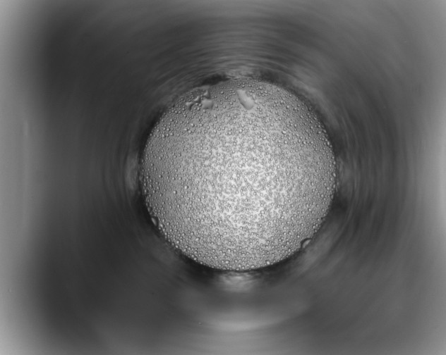 X0000089900189200707192039